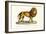 Senegal Lion, 1824-Karl Joseph Brodtmann-Framed Giclee Print