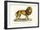 Senegal Lion, 1824-Karl Joseph Brodtmann-Framed Giclee Print