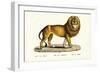 Senegal Lion, 1824-Karl Joseph Brodtmann-Framed Giclee Print