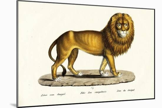 Senegal Lion, 1824-Karl Joseph Brodtmann-Mounted Giclee Print