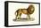 Senegal Lion, 1824-Karl Joseph Brodtmann-Framed Stretched Canvas
