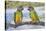 Senegal Parrot Two-null-Stretched Canvas