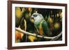 Senegal Parrot-null-Framed Photographic Print