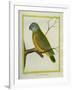 Senegal Parrot-Georges-Louis Buffon-Framed Giclee Print