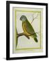 Senegal Parrot-Georges-Louis Buffon-Framed Giclee Print