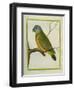 Senegal Parrot-Georges-Louis Buffon-Framed Giclee Print