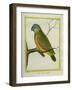 Senegal Parrot-Georges-Louis Buffon-Framed Giclee Print