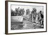 Senegalese Soldiers Embarking on the Egyptian Coast, World War I, 1915-null-Framed Giclee Print