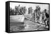 Senegalese Soldiers Embarking on the Egyptian Coast, World War I, 1915-null-Framed Stretched Canvas