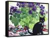 Senetti and Florence-Christopher Ryland-Framed Stretched Canvas