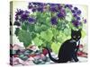 Senetti and Florence-Christopher Ryland-Stretched Canvas