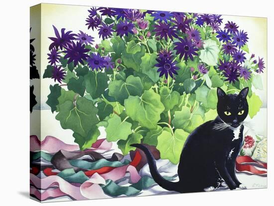 Senetti and Florence-Christopher Ryland-Stretched Canvas