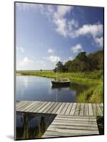 Sengekontacket Pond, Oak Bluffs, Martha's Vineyard, Massachusetts, USA-Walter Bibikow-Mounted Photographic Print