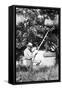 Senior Man Harvests Apples, Ca. 1926-null-Framed Stretched Canvas