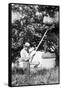 Senior Man Harvests Apples, Ca. 1926-null-Framed Stretched Canvas