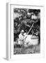 Senior Man Harvests Apples, Ca. 1926-null-Framed Photographic Print