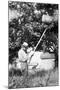 Senior Man Harvests Apples, Ca. 1926-null-Mounted Photographic Print