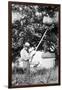 Senior Man Harvests Apples, Ca. 1926-null-Framed Photographic Print