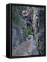 Senior Man Rock Climbing-null-Framed Stretched Canvas