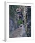 Senior Man Rock Climbing-null-Framed Premium Photographic Print