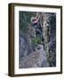Senior Man Rock Climbing-null-Framed Photographic Print