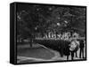 Senior Parade, Commencement Day, University of Michigan-null-Framed Stretched Canvas