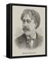 Senor Sarasate-null-Framed Stretched Canvas