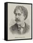 Senor Sarasate-null-Framed Stretched Canvas