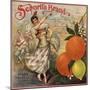 Senorita Brand - California - Citrus Crate Label-Lantern Press-Mounted Art Print