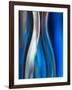 Senorita-Ursula Abresch-Framed Photographic Print