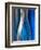 Senorita-Ursula Abresch-Framed Photographic Print