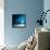 Sensation in Blue-Philippe Sainte-Laudy-Framed Stretched Canvas displayed on a wall