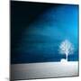 Sensation in Blue-Philippe Sainte-Laudy-Mounted Photographic Print