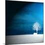 Sensation in Blue-Philippe Sainte-Laudy-Mounted Photographic Print