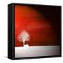 Sensation in Red-Philippe Sainte-Laudy-Framed Stretched Canvas