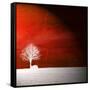 Sensation in Red-Philippe Sainte-Laudy-Framed Stretched Canvas