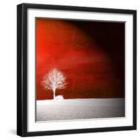 Sensation in Red-Philippe Sainte-Laudy-Framed Photographic Print