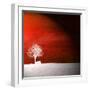 Sensation in Red-Philippe Sainte-Laudy-Framed Photographic Print