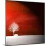 Sensation in Red-Philippe Sainte-Laudy-Mounted Photographic Print