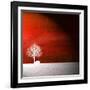 Sensation in Red-Philippe Sainte-Laudy-Framed Photographic Print