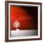 Sensation in Red-Philippe Sainte-Laudy-Framed Photographic Print