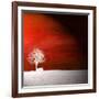 Sensation in Red-Philippe Sainte-Laudy-Framed Photographic Print