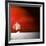 Sensation in Red-Philippe Sainte-Laudy-Framed Photographic Print