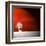 Sensation in Red-Philippe Sainte-Laudy-Framed Premium Photographic Print