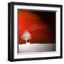 Sensation in Red-Philippe Sainte-Laudy-Framed Premium Photographic Print