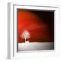 Sensation in Red-Philippe Sainte-Laudy-Framed Premium Photographic Print