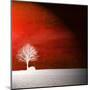 Sensation in Red-Philippe Sainte-Laudy-Mounted Premium Photographic Print