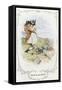 Sense and Sensibility-C.e. Brock-Framed Stretched Canvas