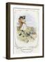 Sense and Sensibility-C.e. Brock-Framed Art Print