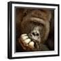 Sense of Life ...-Antje Wenner-Framed Premium Photographic Print